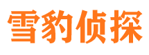 分宜找人公司